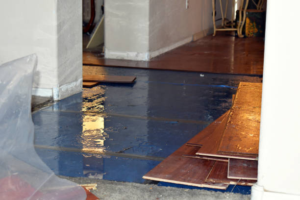 Professional Burst Pipe Cleanup technician working in Weaverville, NC